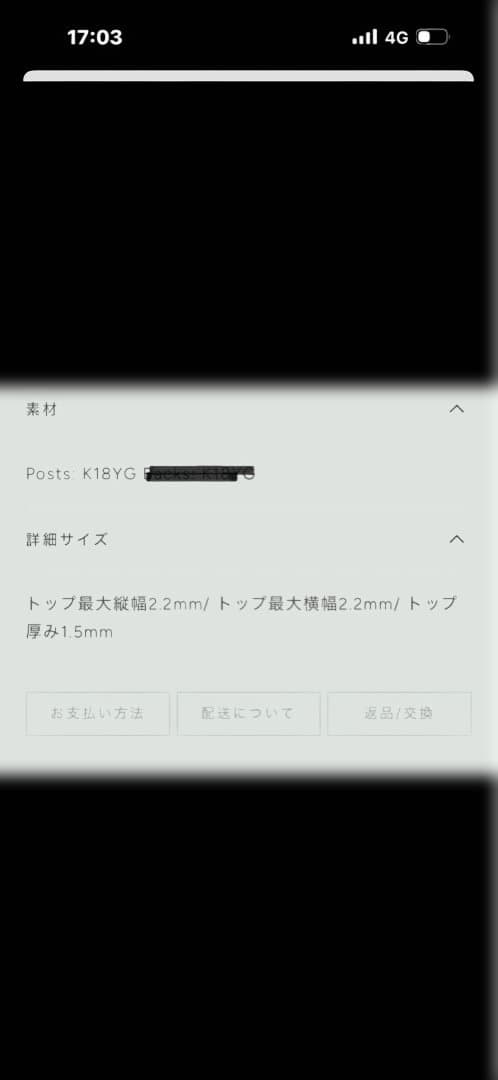 ノグチ　小さめピアス