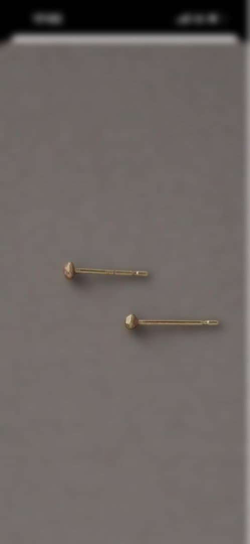 ノグチ　小さめピアス