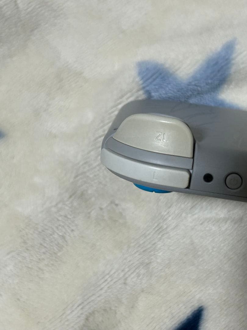 Nintendo Switch Lite ザシアン ザマゼンタ　本体