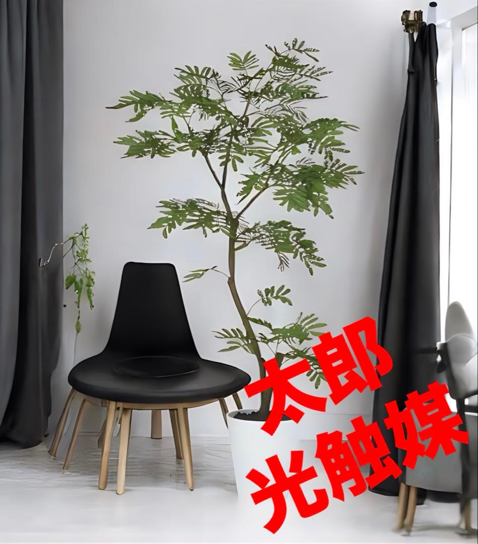 光触媒　人工観葉植物 フェイクグリーン　エバーフレッシュ120FST