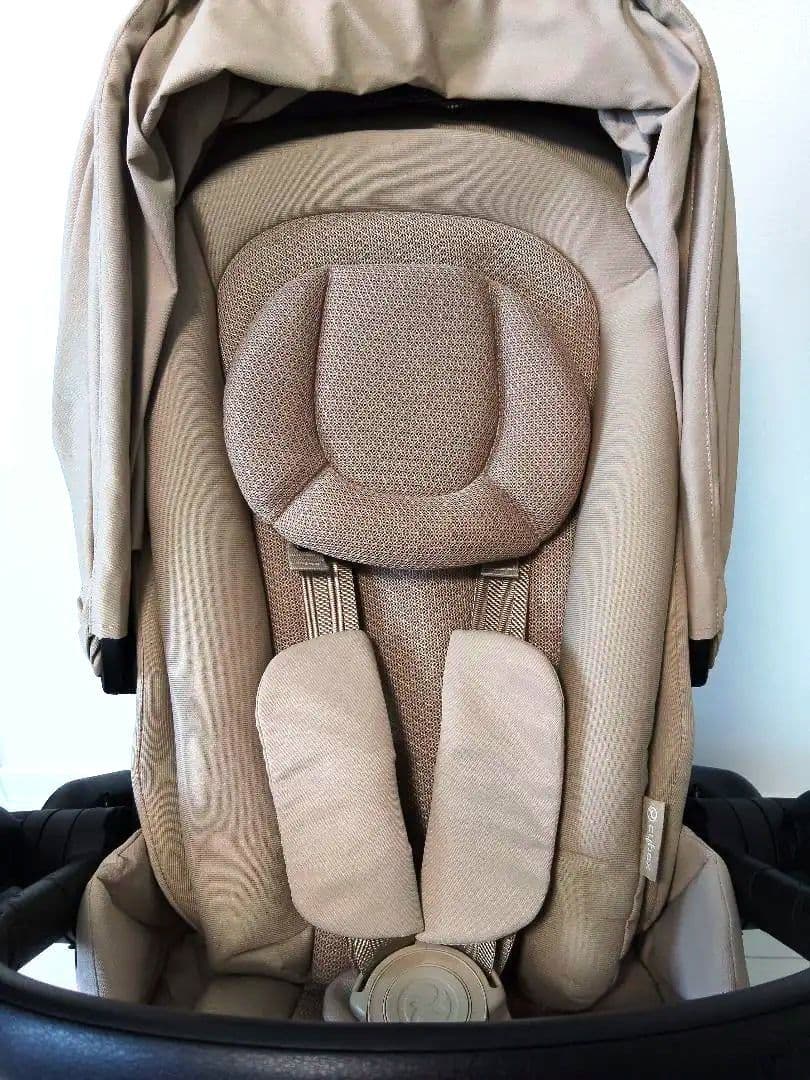 サイベックス　メリオカーボン　2024年10月購入　アーモンドベージュ