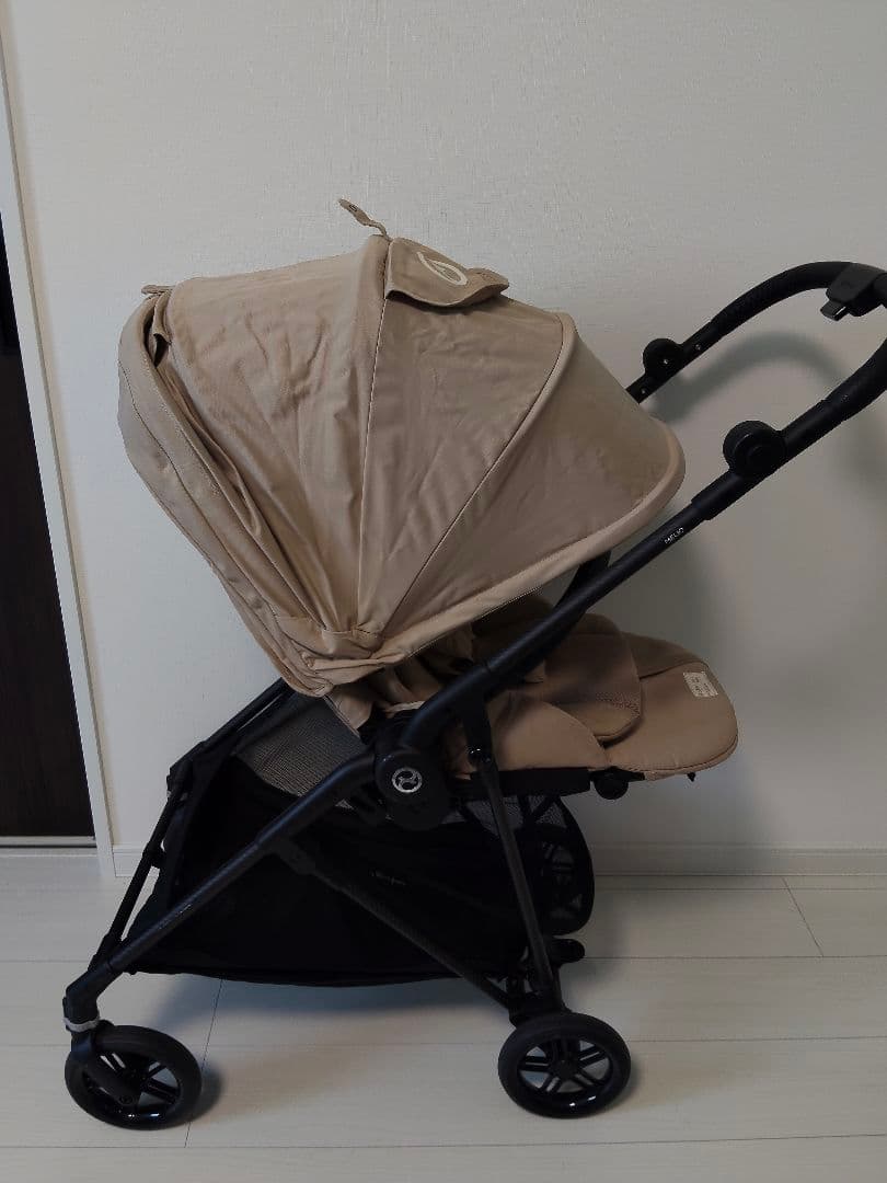 サイベックス　メリオカーボン　2024年10月購入　アーモンドベージュ