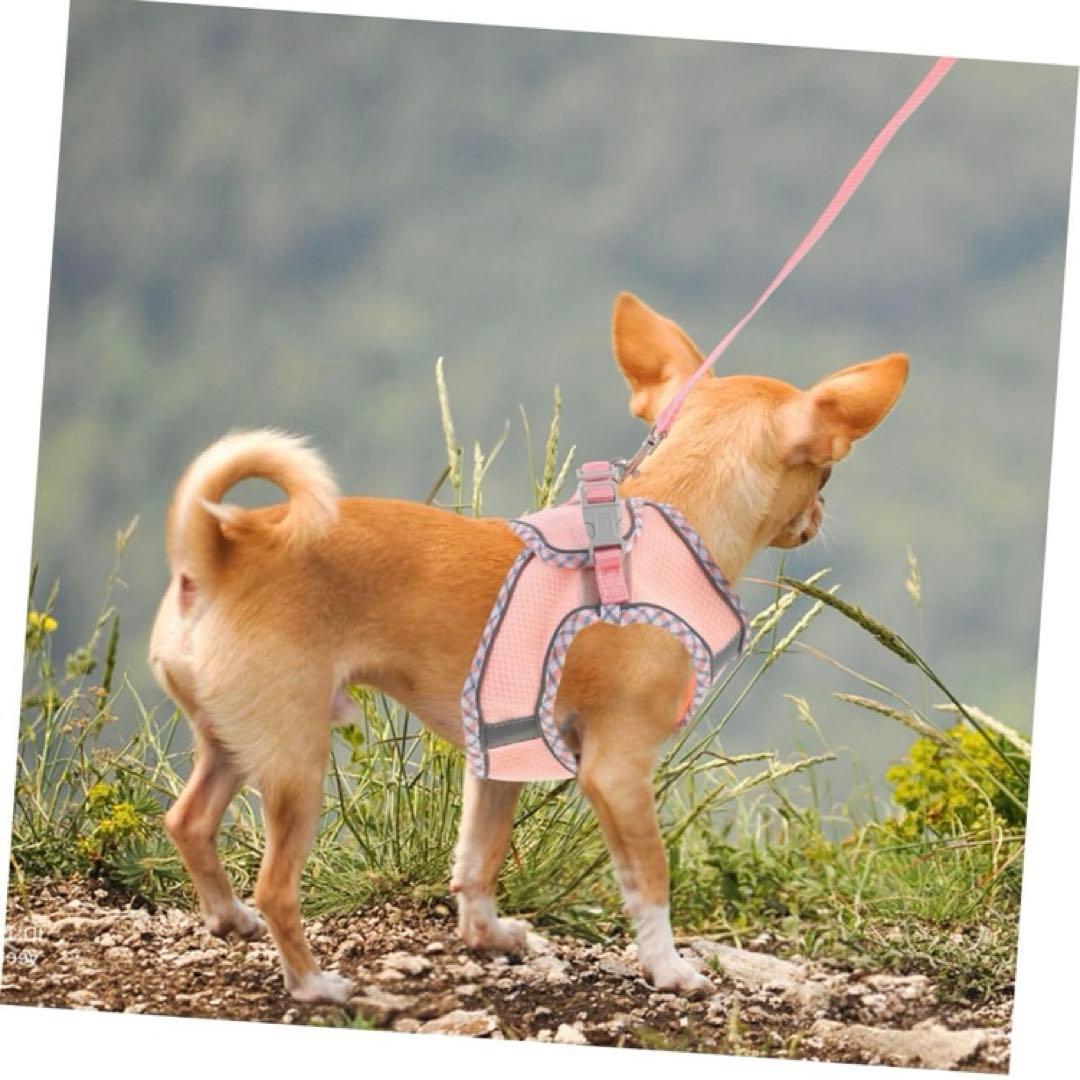 小型犬用 ハーネス リード セット ピンク ベストタイプ 新品 未使用