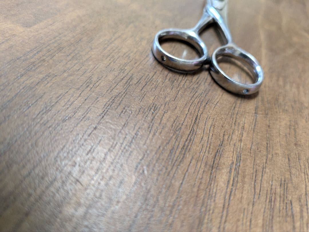 セニングシザー