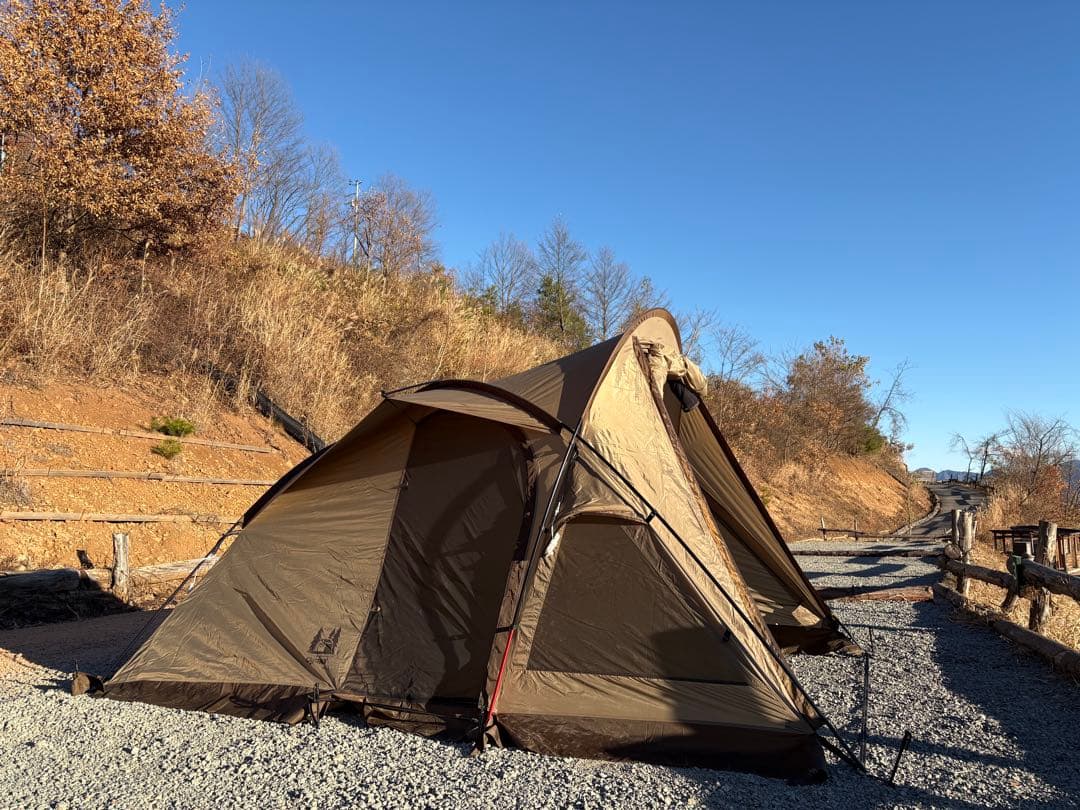 オガワヴィガスⅡ