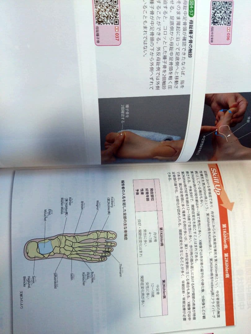 機能解剖学的触診技術 最新上下肢セット　理学療法士　作業療法　リハビリ　まとめ売