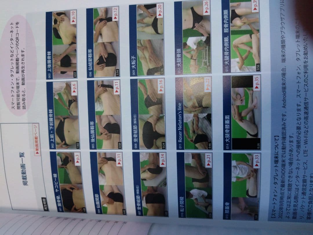 機能解剖学的触診技術 最新上下肢セット　理学療法士　作業療法　リハビリ　まとめ売