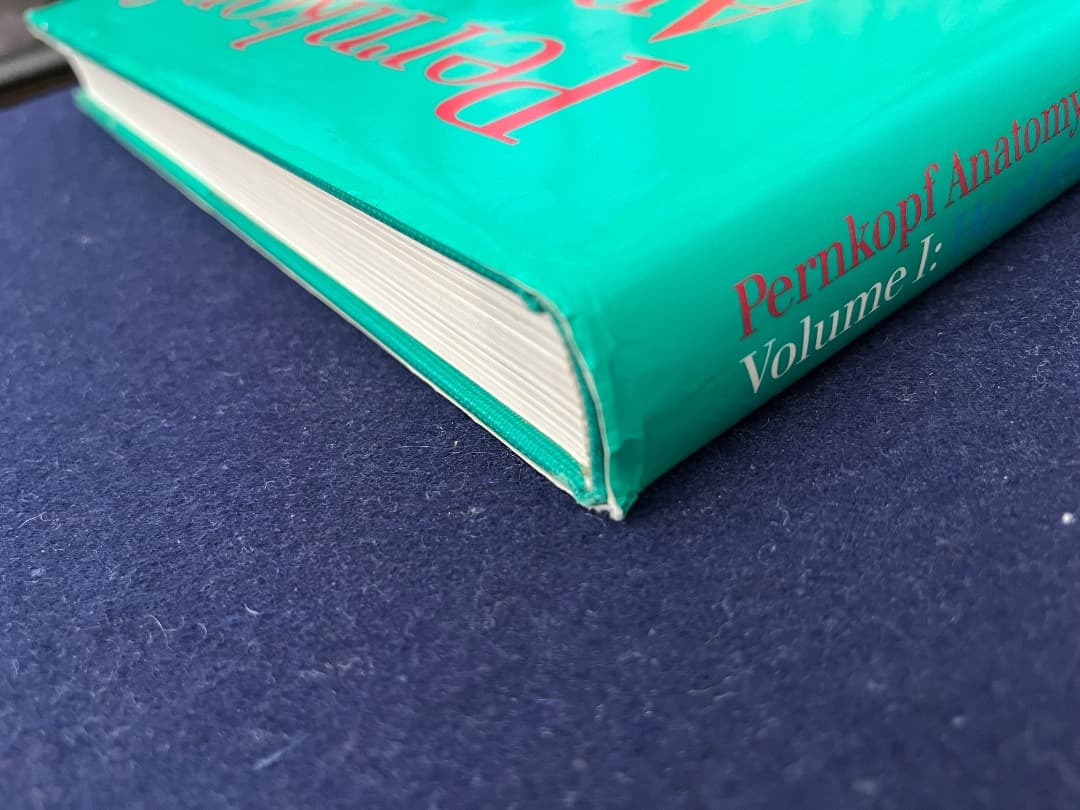 健康・医学 Pernkopf Anatomy volume I Head and Neck