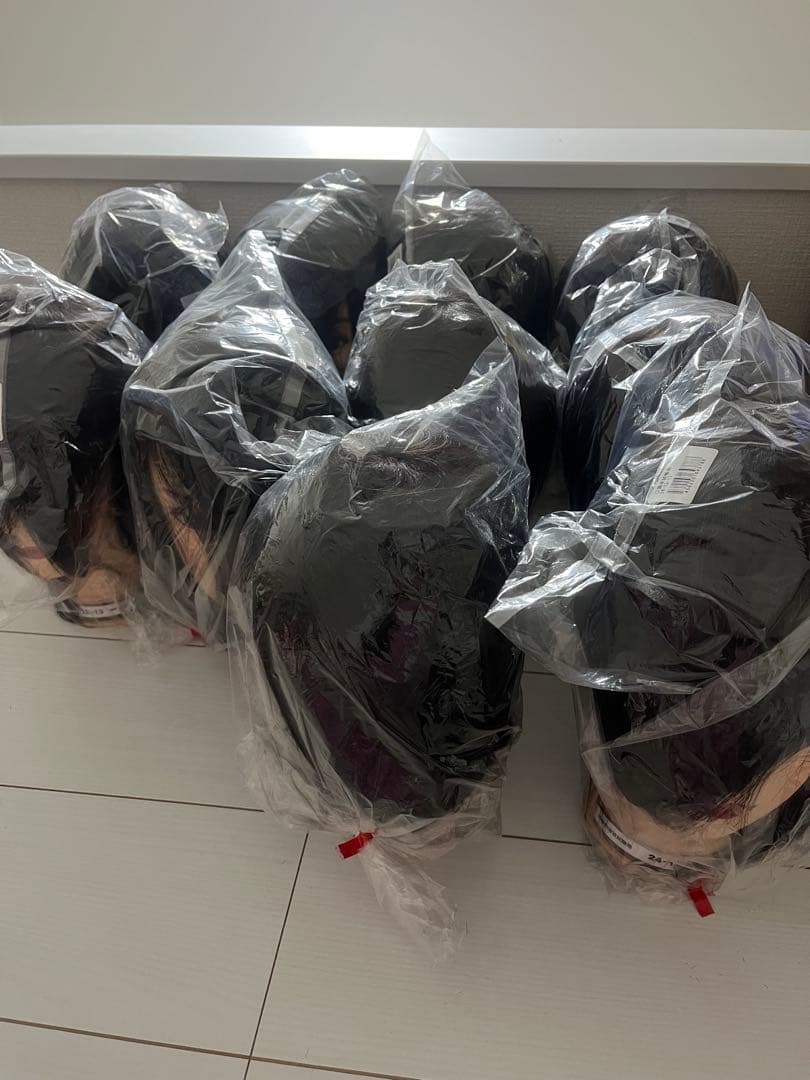 国家試験カットウィッグ10体