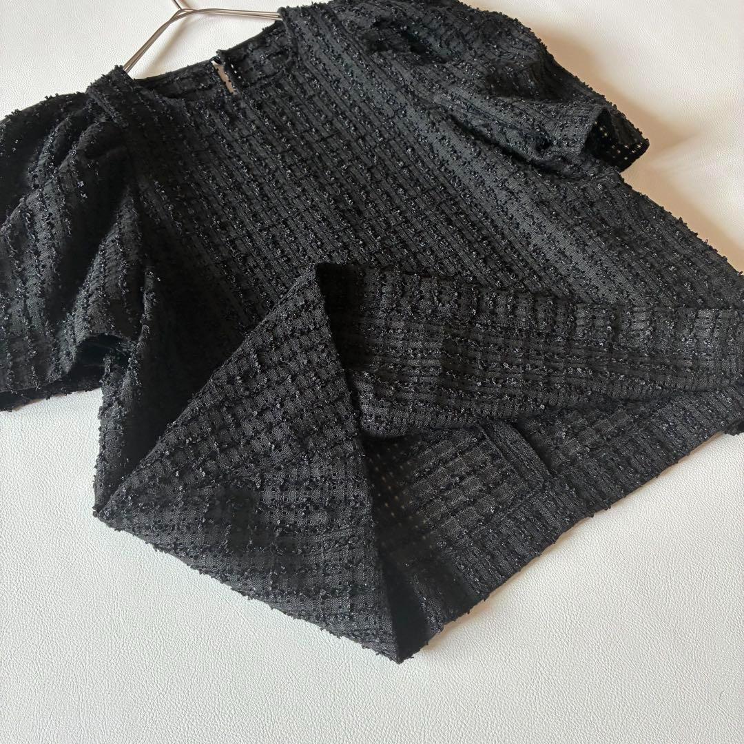 OHGA　オーガ　SAVON　サボン　シアーブラウス　パフスリーブ　ブラック