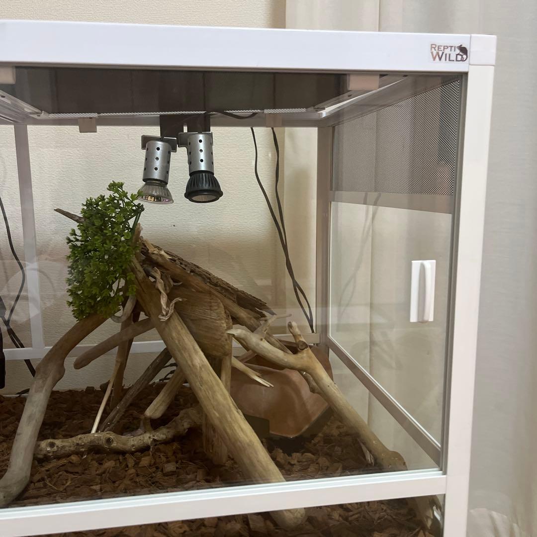 爬虫類・両生類用飼育ケージ パンテオン9045ホワイト　千葉県　発送不可