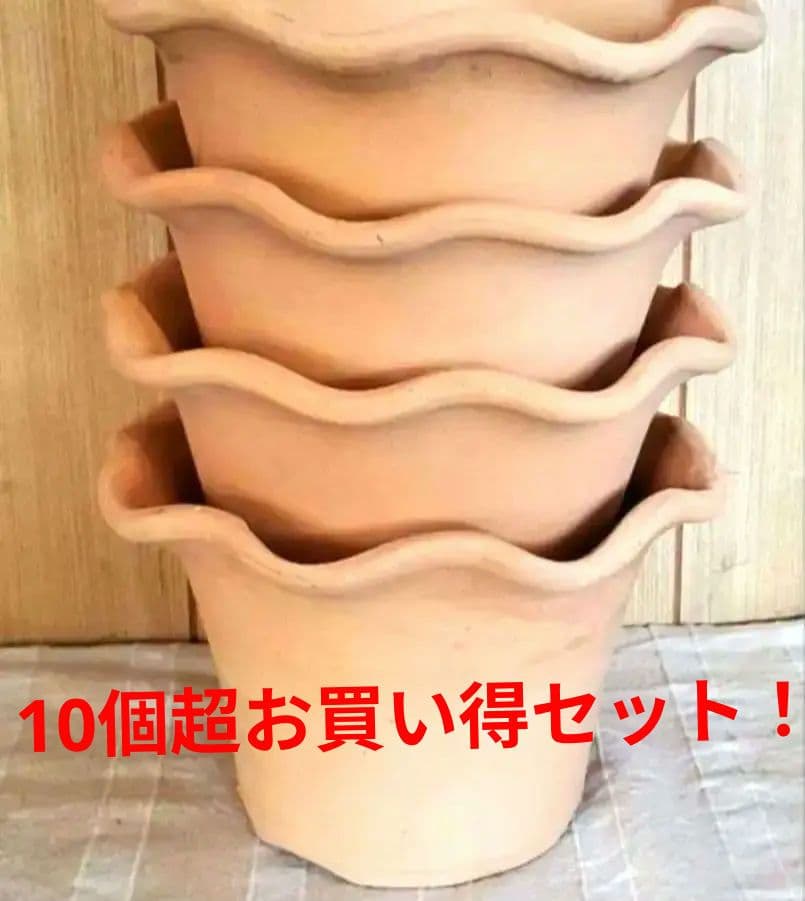 norinoriページ三河焼フリルテラしゅう窯白焼6号10ヶお買い得セット