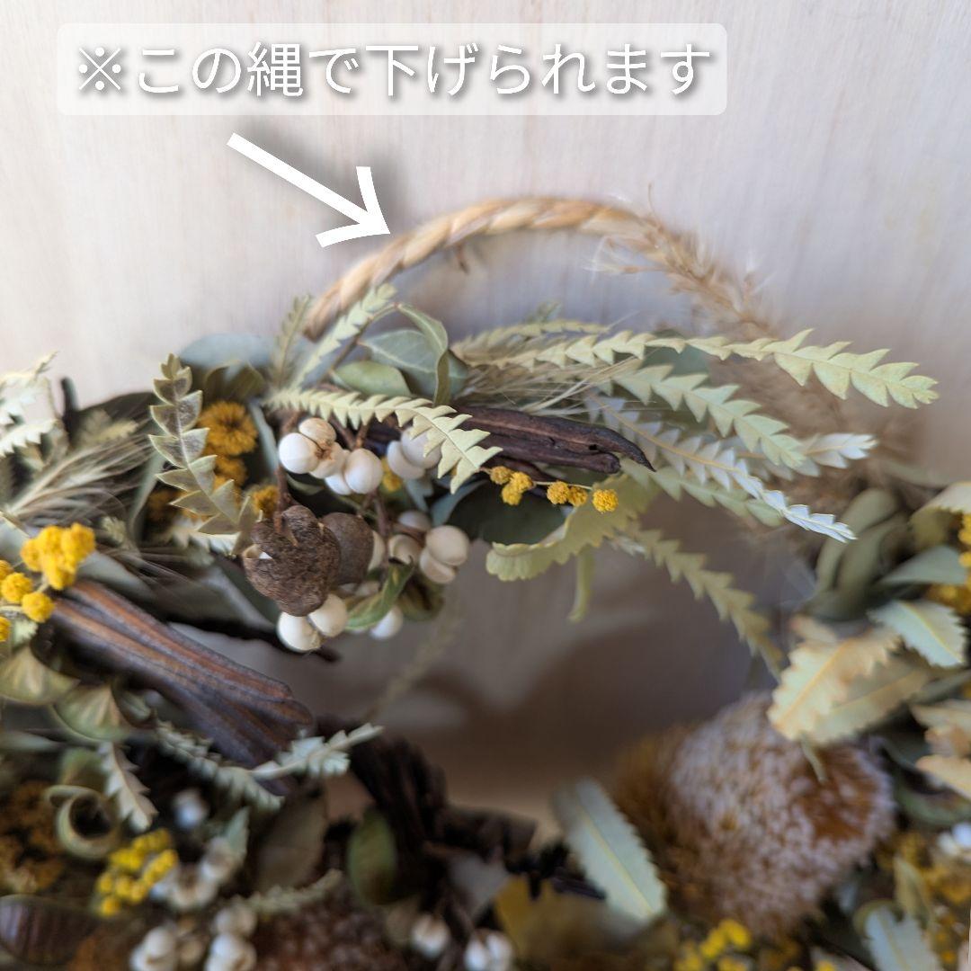 専用＊ネイティブフラワー3種とミモザのドライフラワーリース
