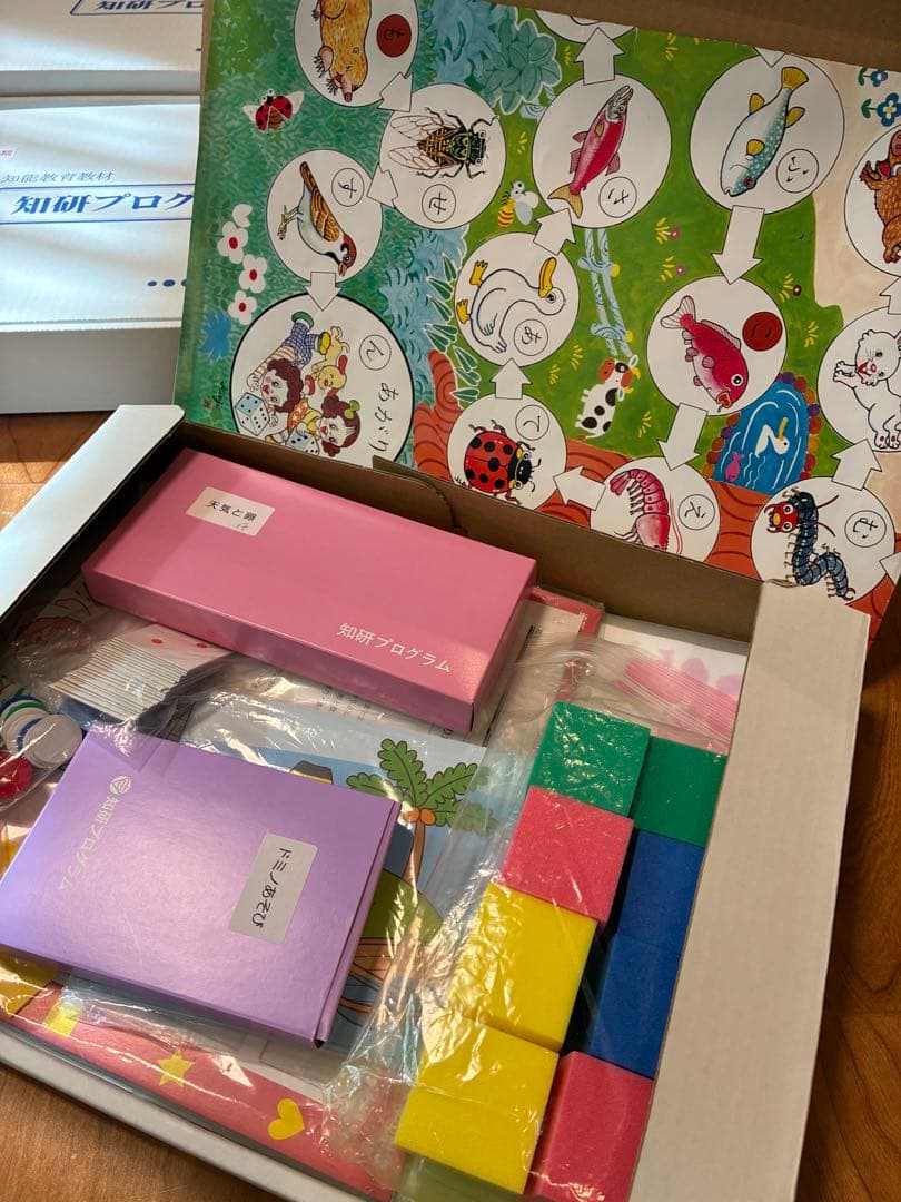 知育プログラム 5箱セット(おまけ付き)