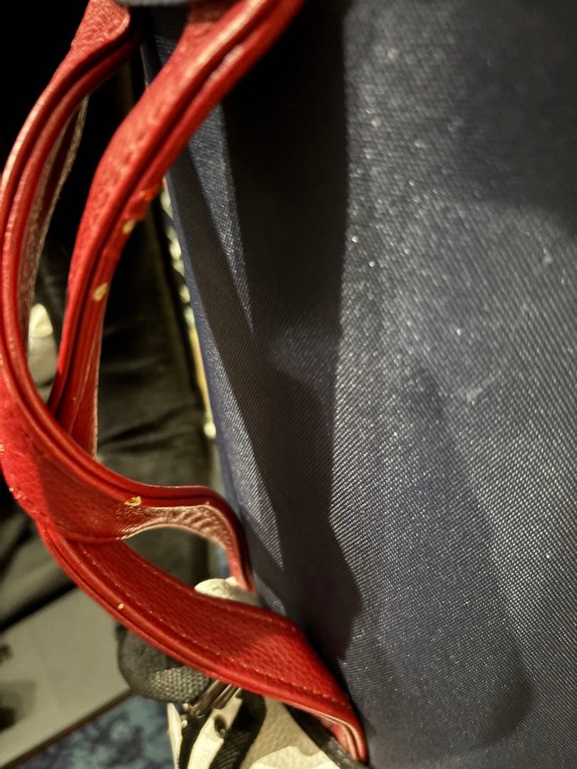 JONES Rider US OPEN キャディバッグ　カートバッグ付き