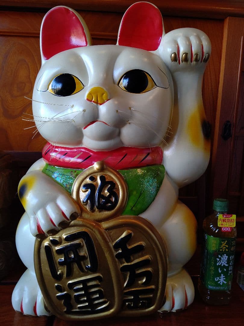 招き猫 最大20号 特注品 常滑焼 陶器 希少品 開運招福 千客万来