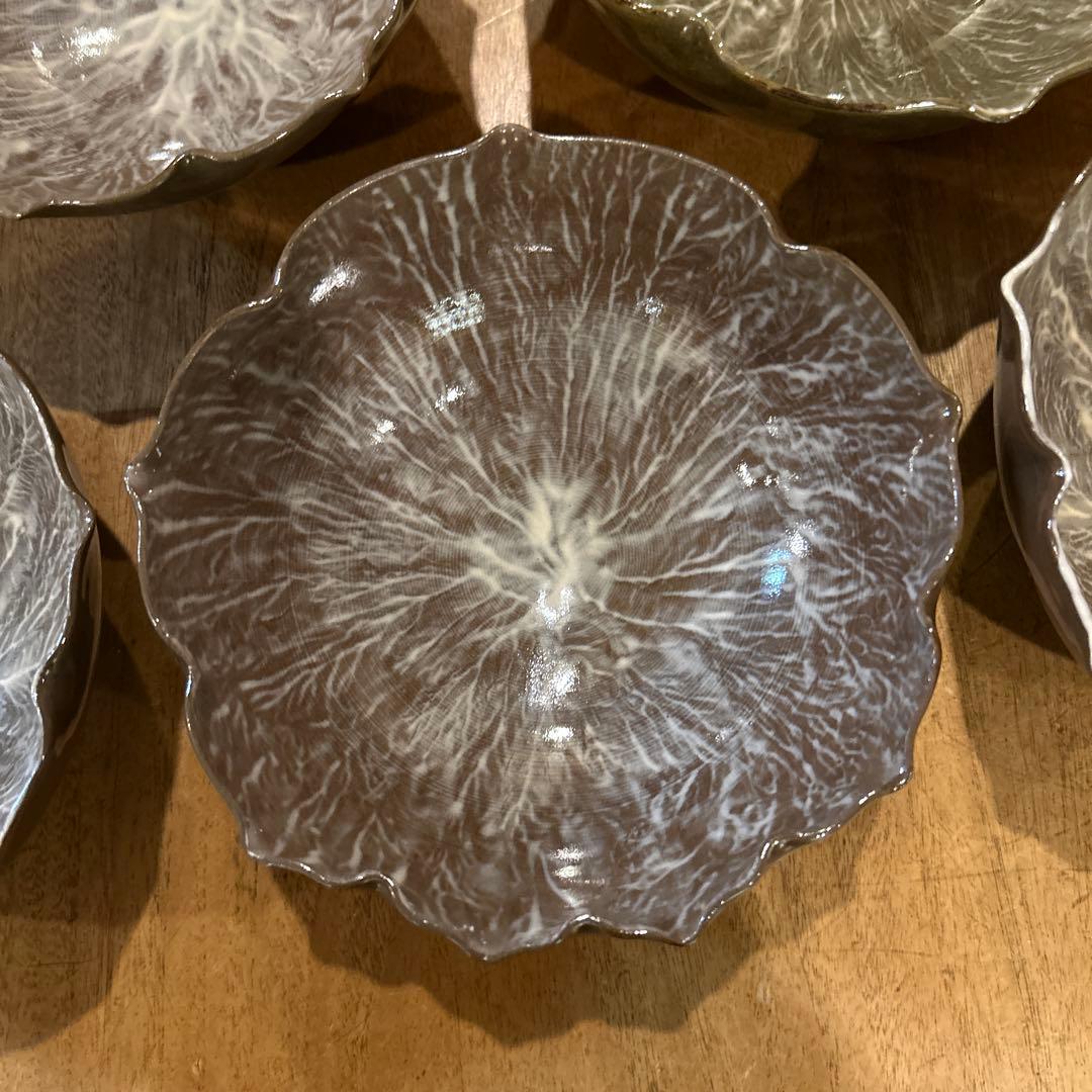 長崎　現川焼 十二代 横石臥牛宗雲作 刷毛目 花形鉢　五個　希少　二