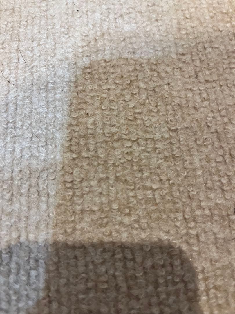 ペット用カーペット 滑り防止 日本製300cm x 60cm ライトグレー×3本