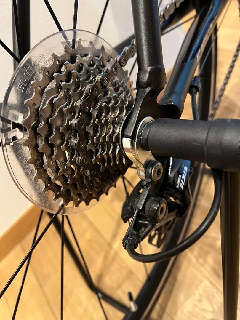 あおい　コーダブルームFARNA 105 2022 465mmお引渡し