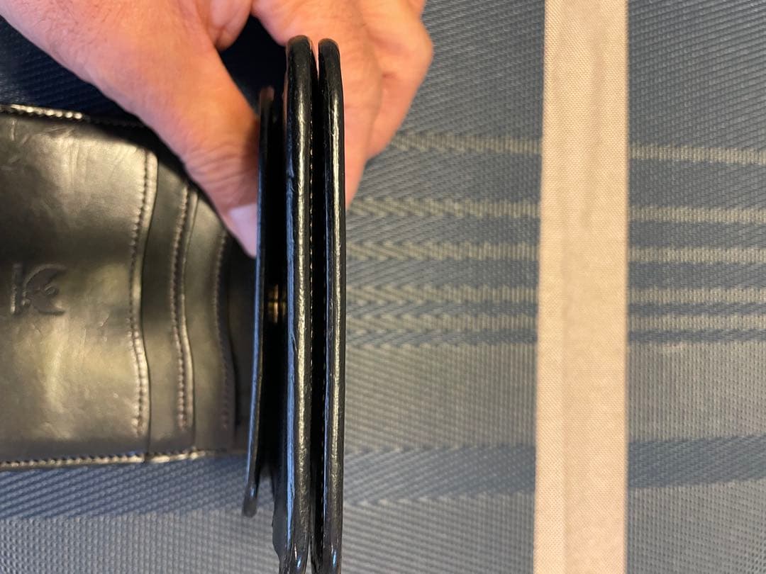 ワイルドスワン　スパンカー1