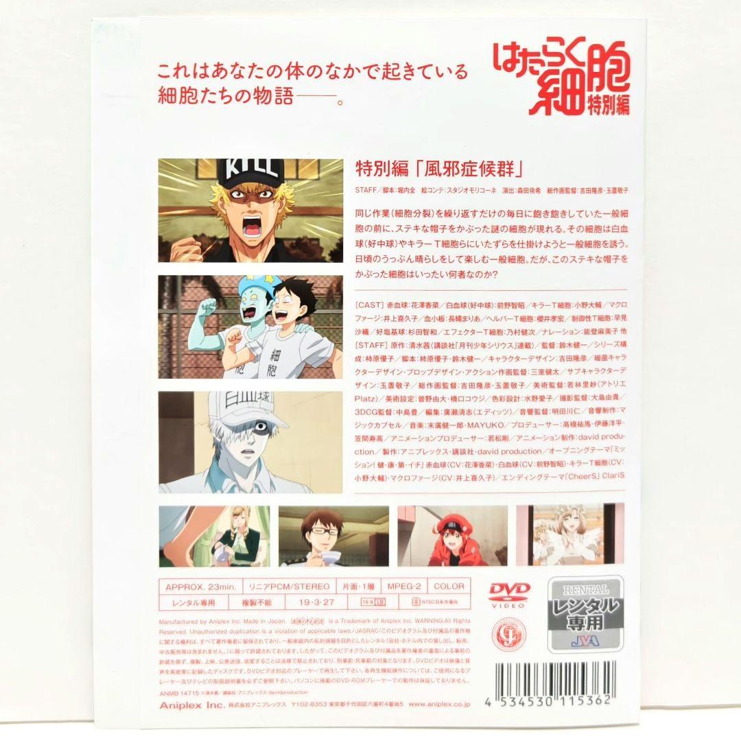 はたらく細胞 特別編 DVD 全巻 セット アニメ 清水茜