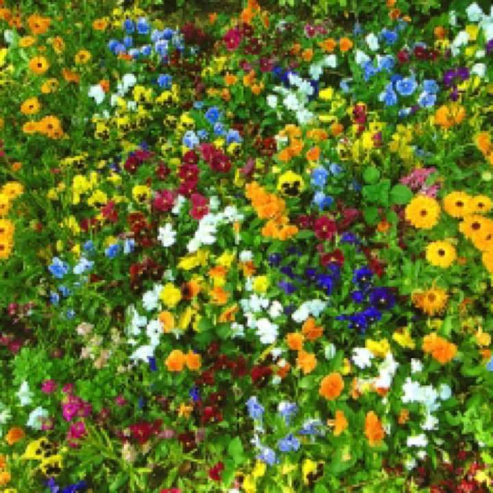 オリジナルのお花お作りします❤️ 誕生日  お見舞い などのフラワーギフトに！