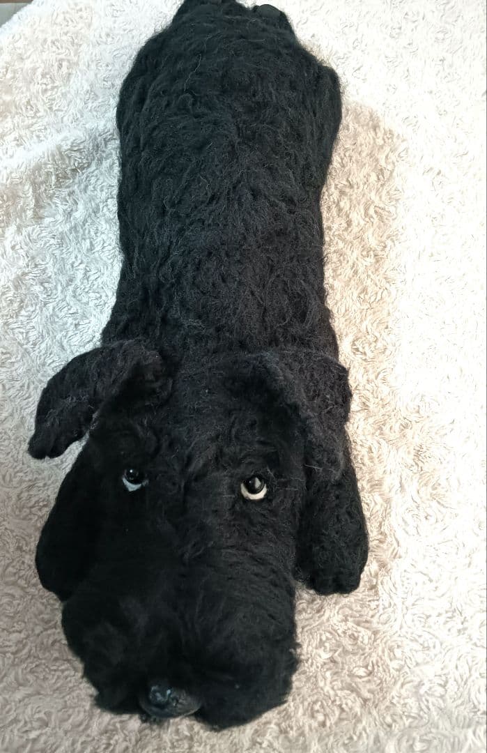 お客です羊毛フェルトぬぼっとまったり見上げてなでなで待ちの特大黒シュナ