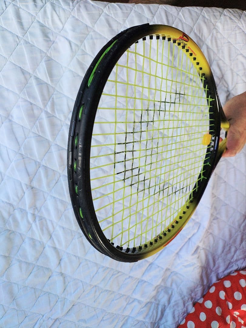 希少！ラジカル　ツアー　690 Experimental