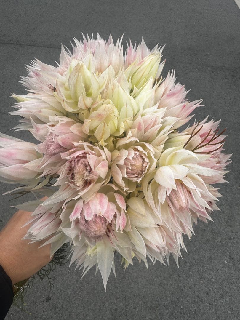 れもん様 リクエスト 2点 まとめ商品