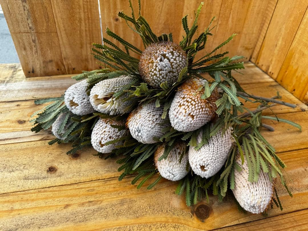 れもん様 リクエスト 2点 まとめ商品