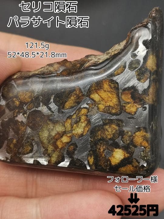 セリコ隕石 パラサイト隕石 ケニア 標本 121.5g no.P-K49901