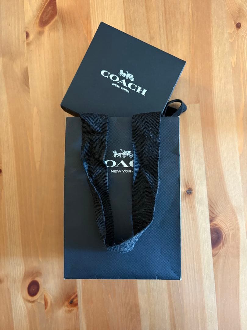 新品　COACH コーチ　チェリー　バッグチャーム　レッドアップル　箱・紙袋付き