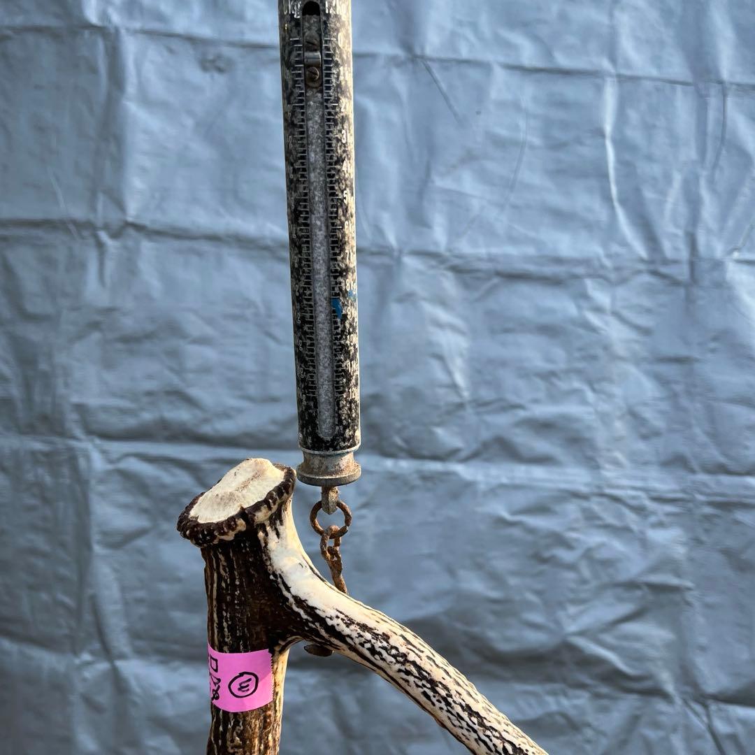 【天然物】※お値下げ済 鹿の角 エゾシカ⚫︎左右非対称⚫︎10本セット（約10kg）