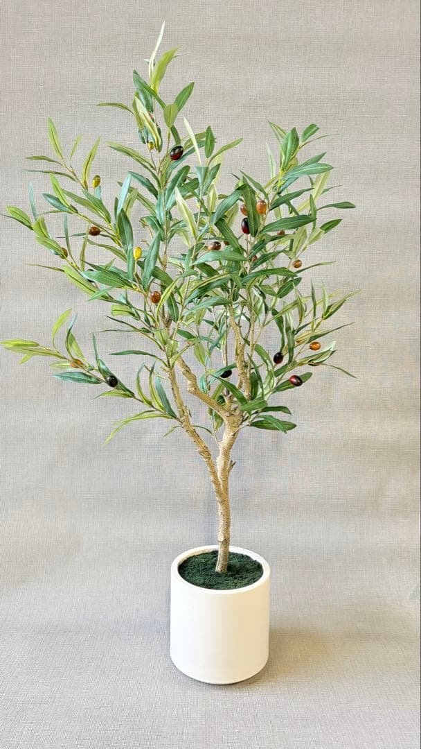 【超リアルなオリーブの木】実つきフェイクグリーンで叶える憧れのオリーブライフ
