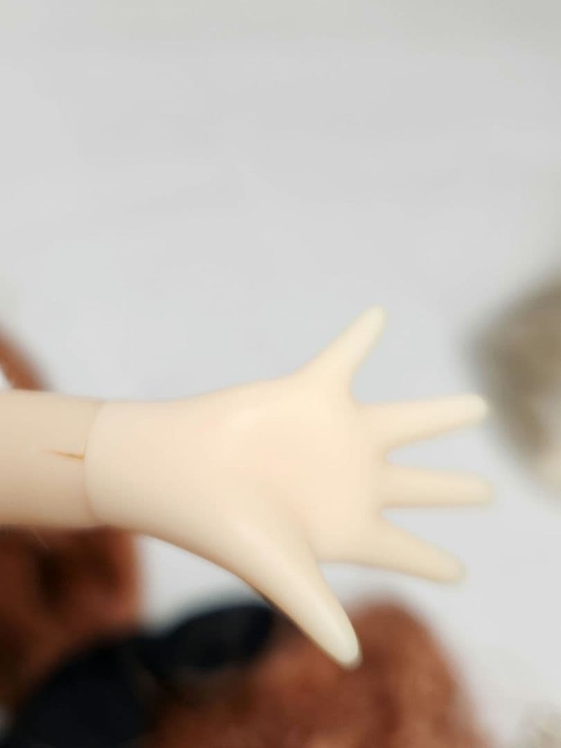 カスタムブライス作家様