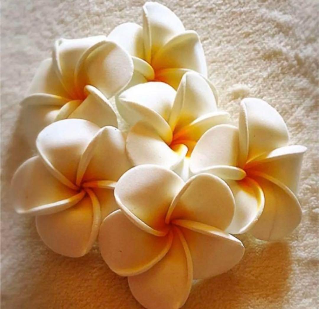 プルメリア アジアン 造花 ／1個55円