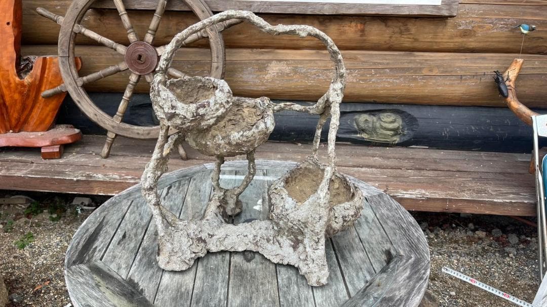 （G6）超珍品　特殊な鉢