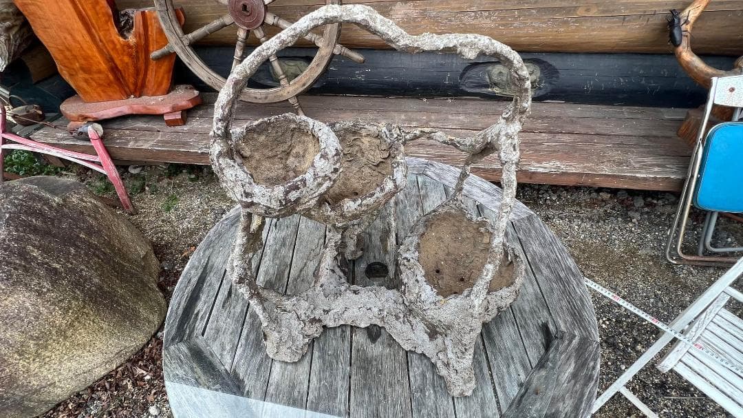 （G6）超珍品　特殊な鉢