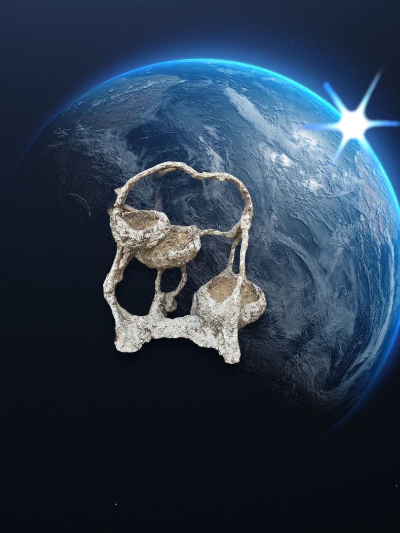 （G6）超珍品　特殊な鉢