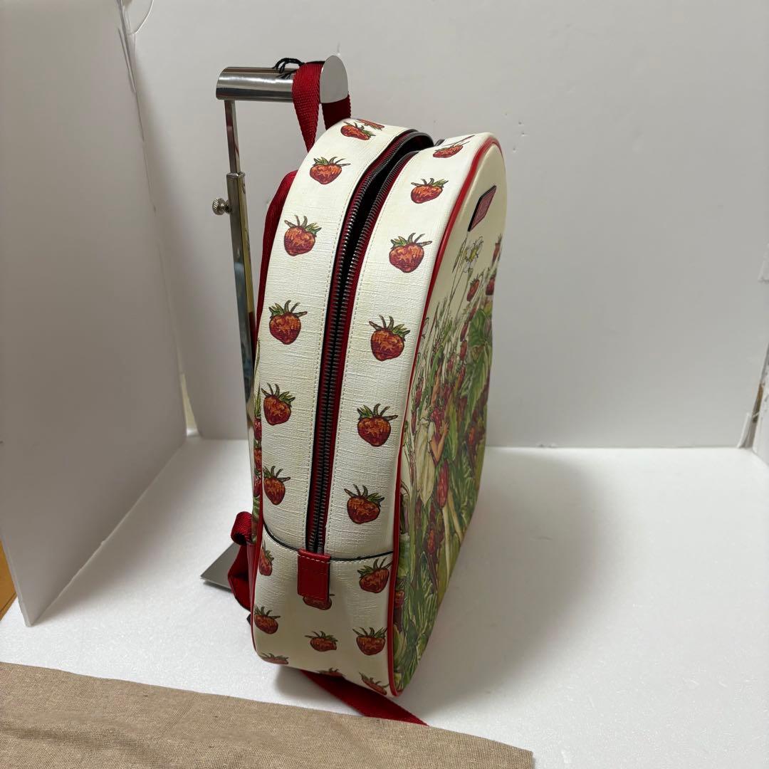 GUCCI グッチ レザー リュック マルチカラー 433578