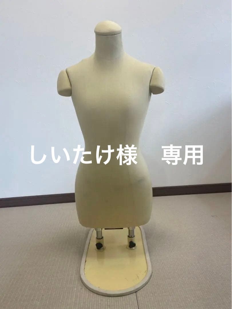 百日草　着付け　ボディ　ひゃくにちそう