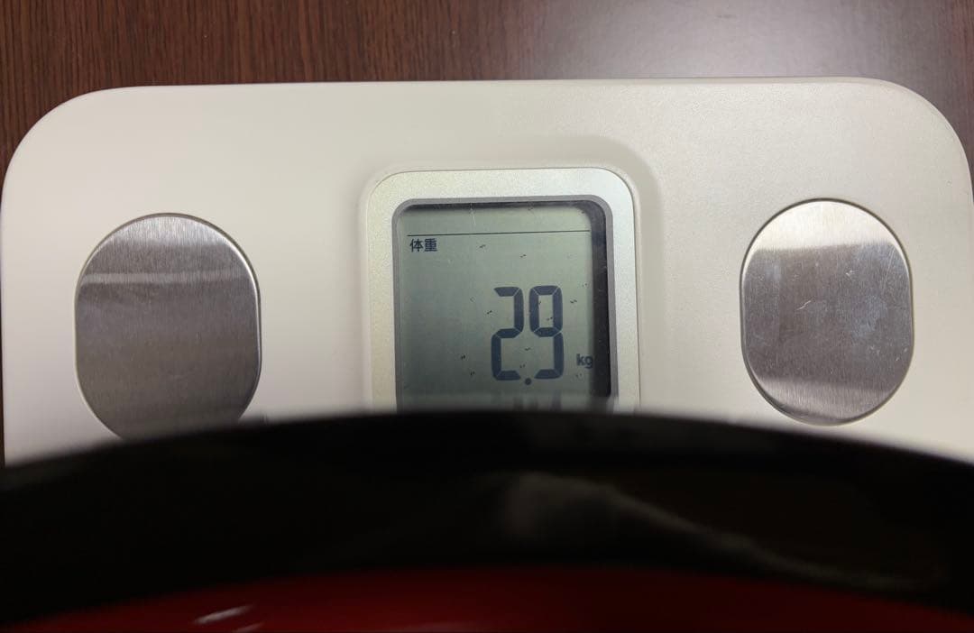 未使用 こね鉢 外黒内朱 16寸 そば うどん パン