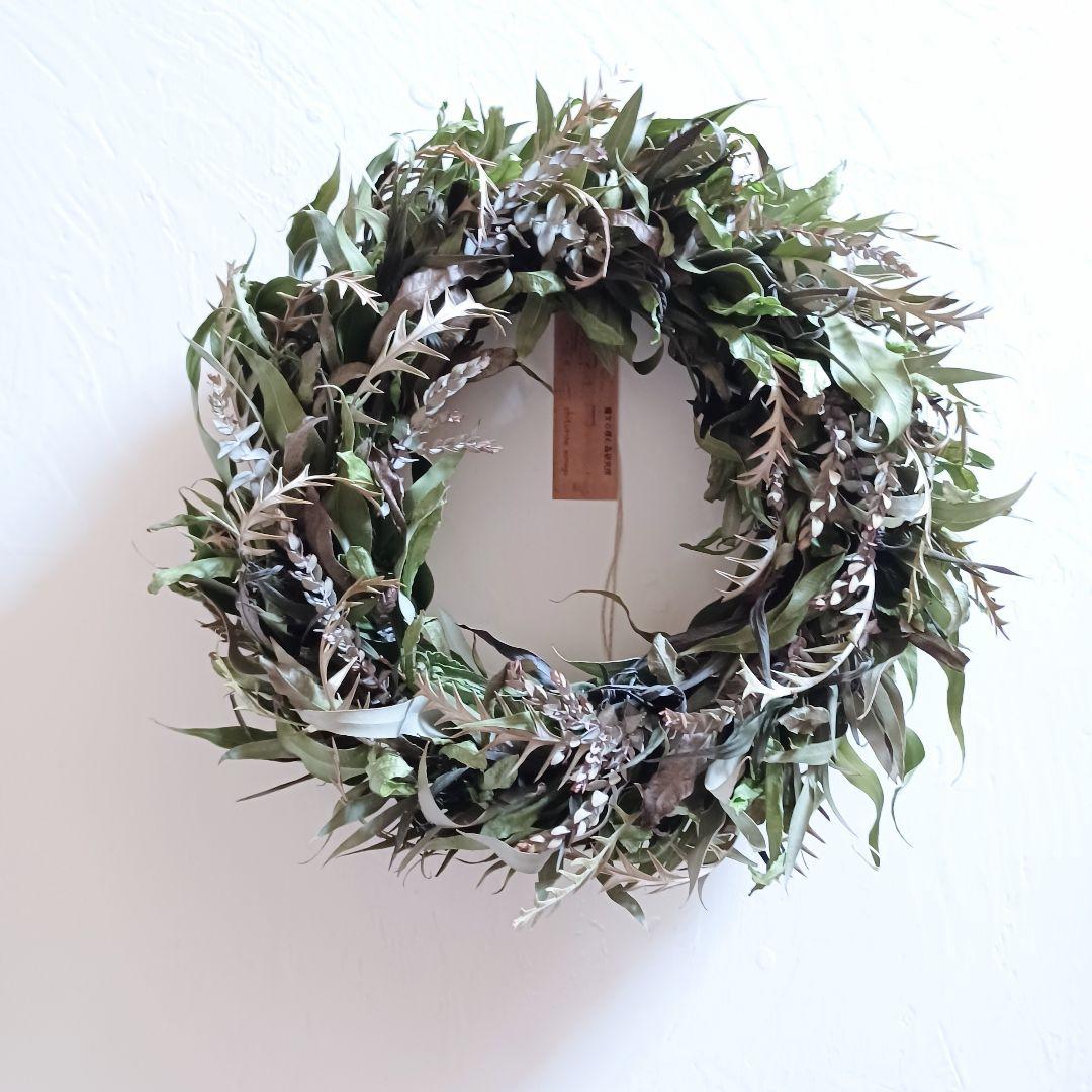 【魔女の棲む森 ～深碧萌～】ドライフラワー リース クリスマスリース