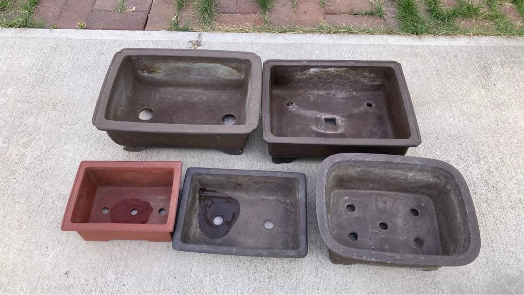 盆栽鉢　5個セット