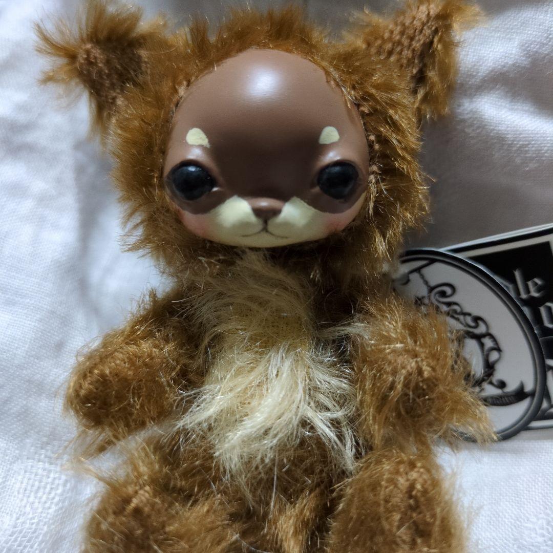 アーティスト　テディベア　チワワ　チョコタン　福寿