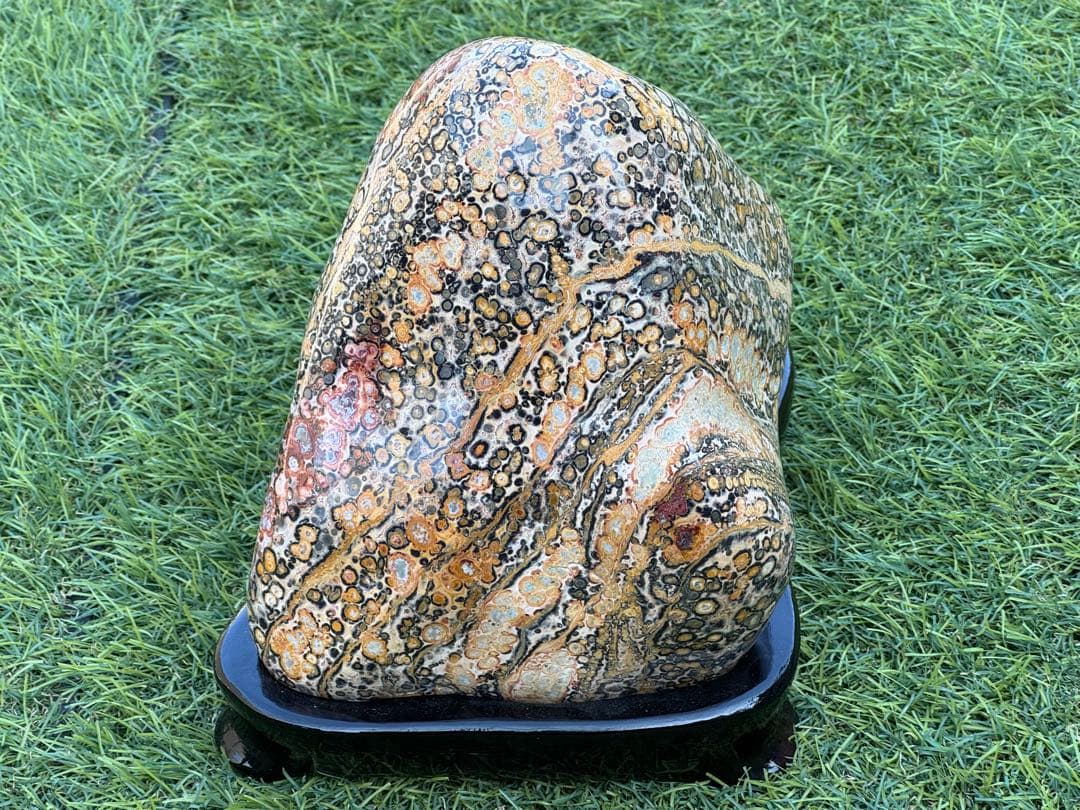 レオパード ジャスパー 鑑賞石 豹柄 水晶 瑪瑙 孔雀石 天然石 水石 置物