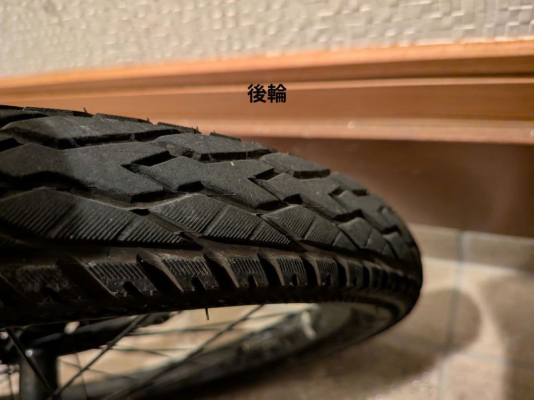 『直接渡し限定』ドライドビート20インチ