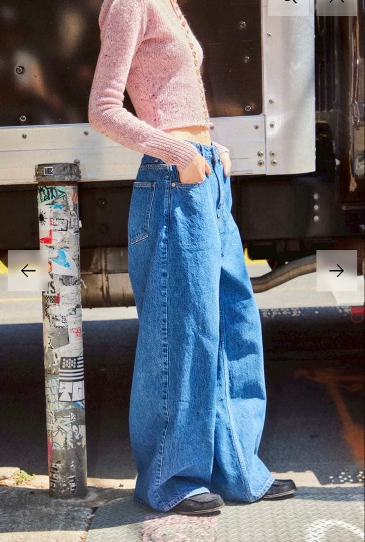 shishikui Dad インディゴ　34