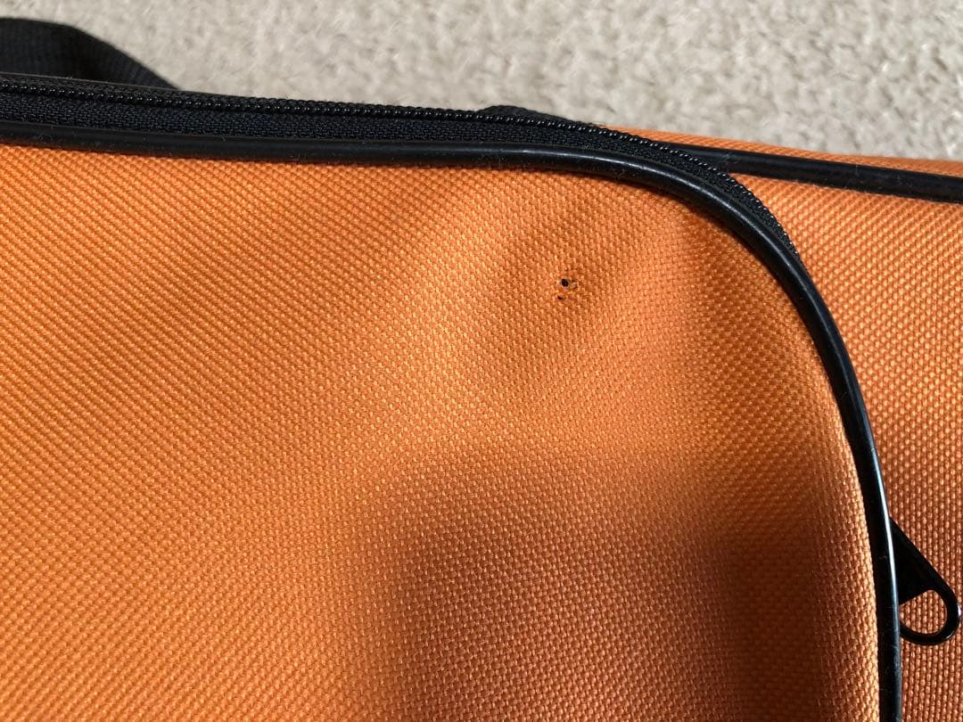 apple3 カルロジョダーノ　2分の1 バイオリン