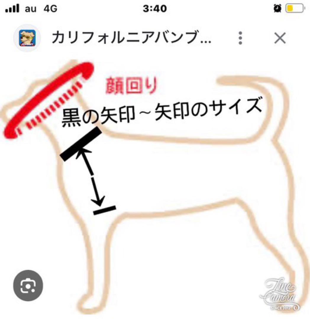 B402.pon2pan2☆オーダー☆犬お引き摺りお着物